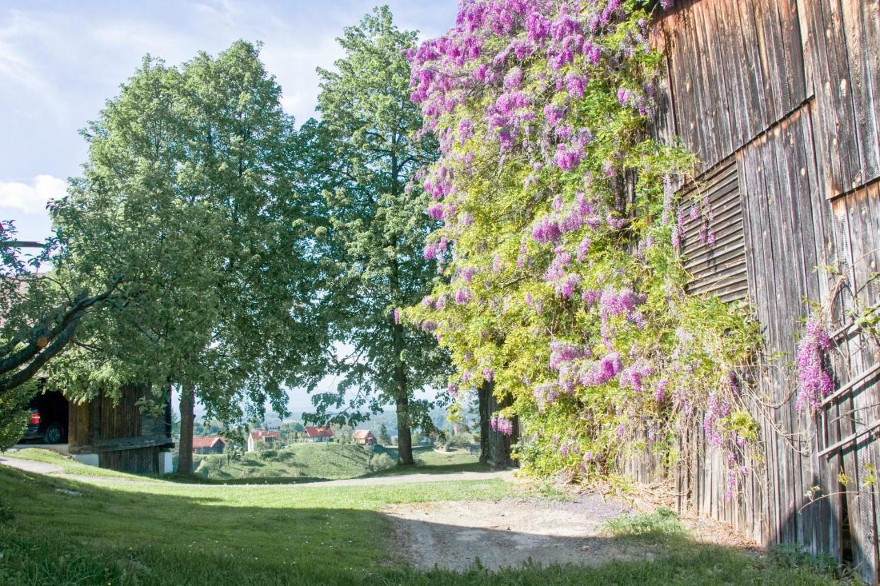 Ferienhaus "Troadkammer" In Der Suedsteiermark Villa Oberhaag Exterior photo